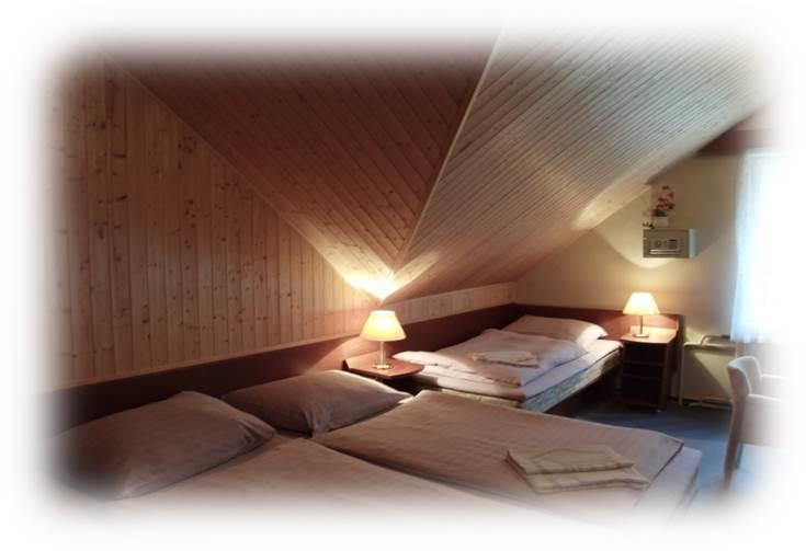 Hotel Prom Svoboda nad Úpou Oda fotoğraf